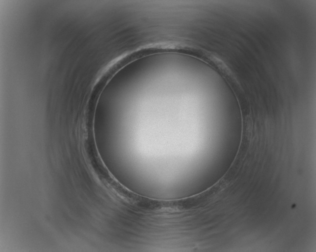 X0000080800536200701122217