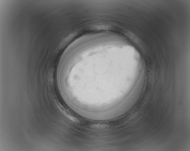 X0000080800537200701122217