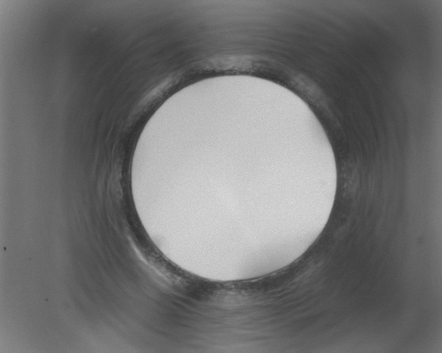 X0000080800538200701122217