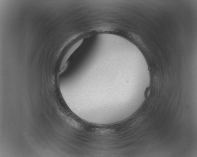 X0000080800539200701122217