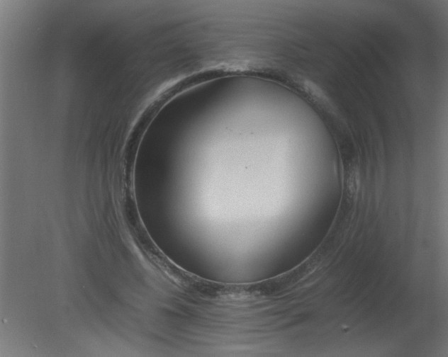 X0000080800540200701122217