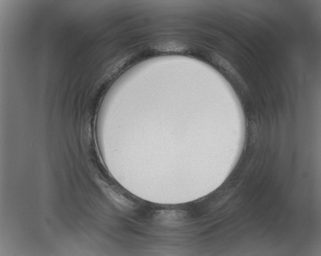 X0000080800541200701122217