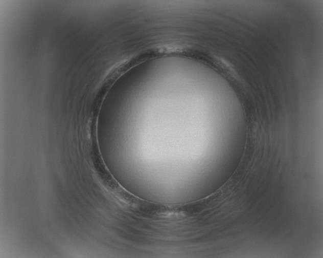X0000080800543200701122217