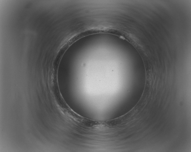 X0000080800544200701122217