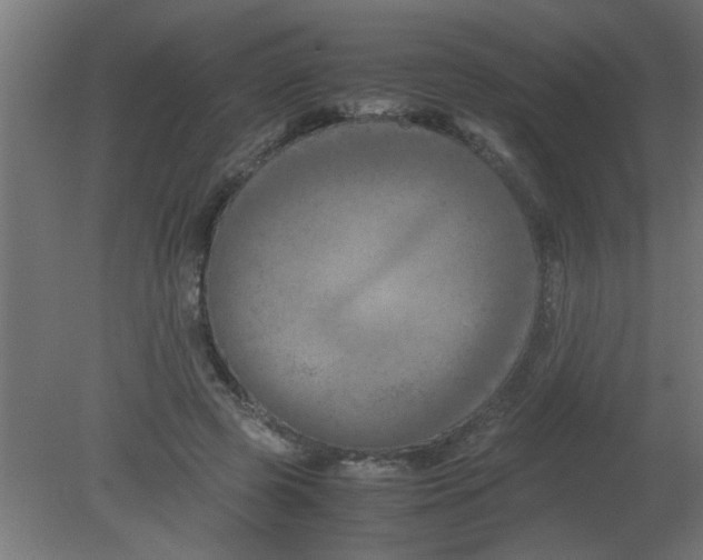 X0000080800545200701122217