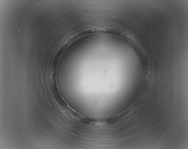 X0000080800548200701122217