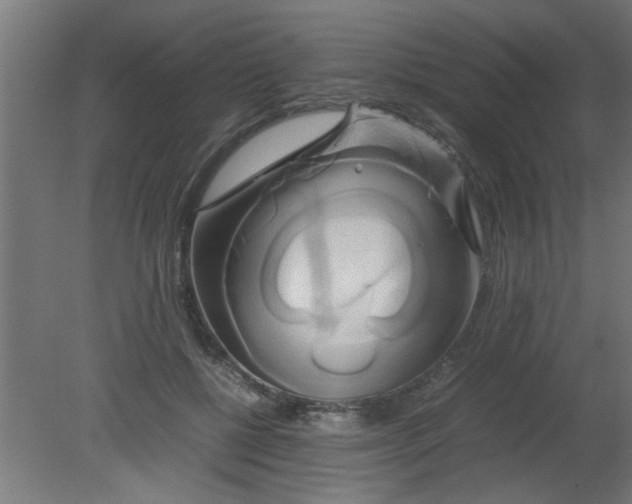 X0000080800552200701122217