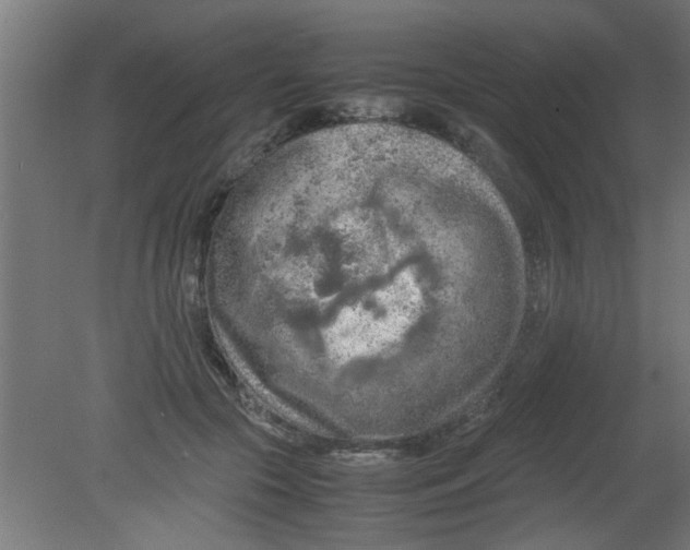 X0000080800553200701122217