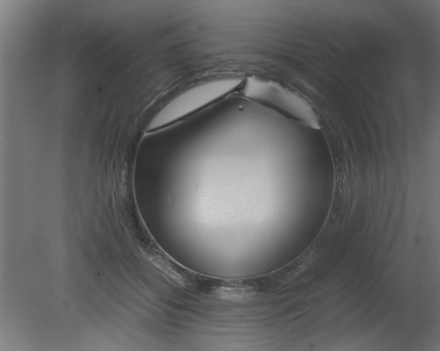 X0000080800556200701122217