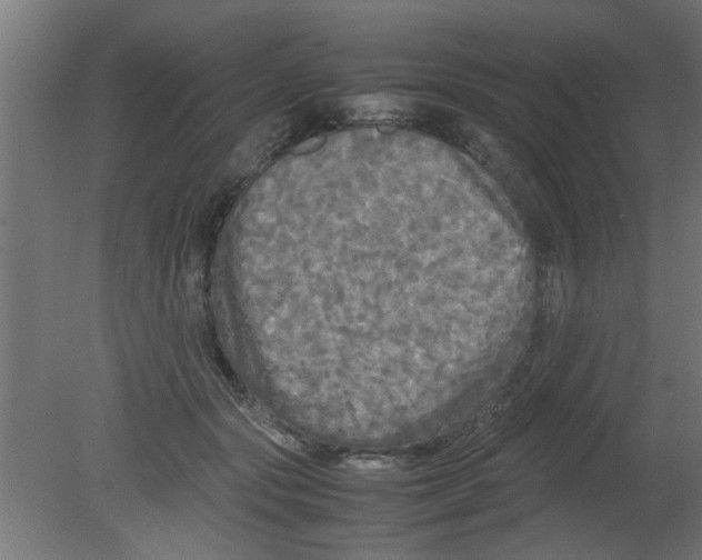 X0000080800557200701122217