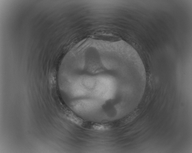 X0000080800561200701122217