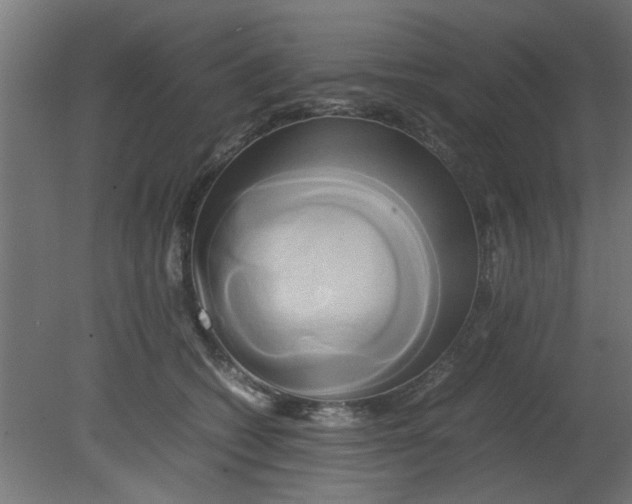 X0000080800562200701122217