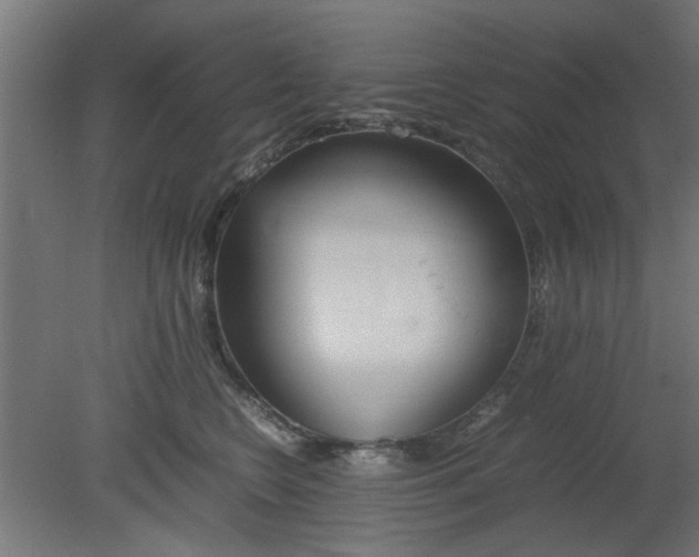 X0000080800566200701122217
