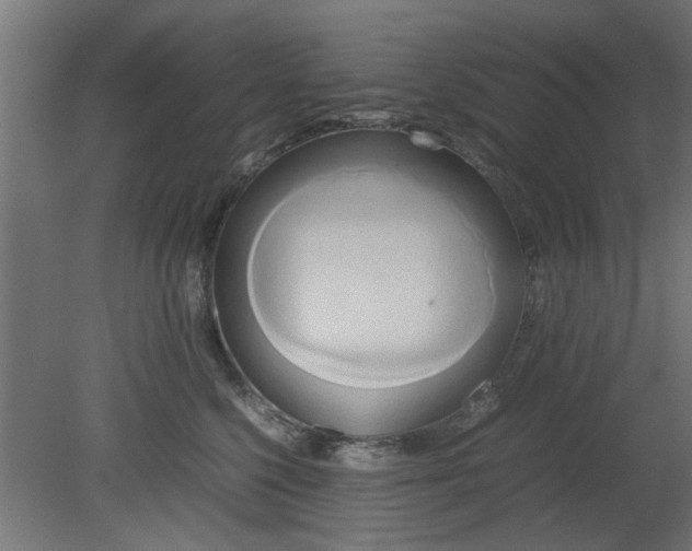 X0000080800568200701122218