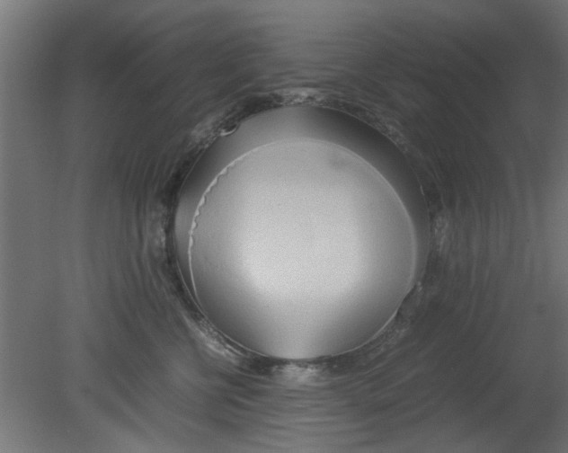 X0000080800570200701122218