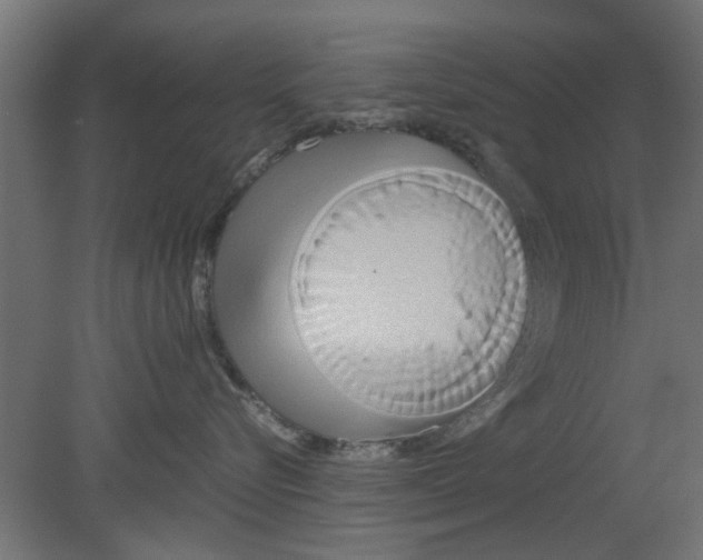 X0000080800576200701122218