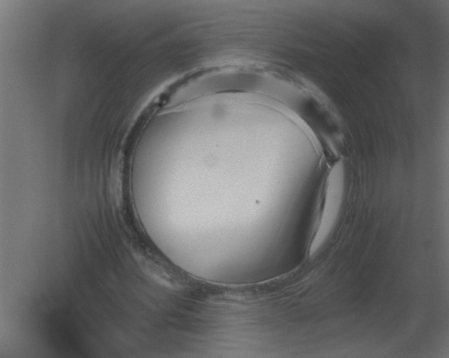 X0000080800580200701122217