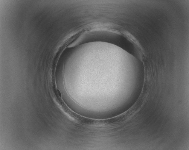 X0000080800581200701122217
