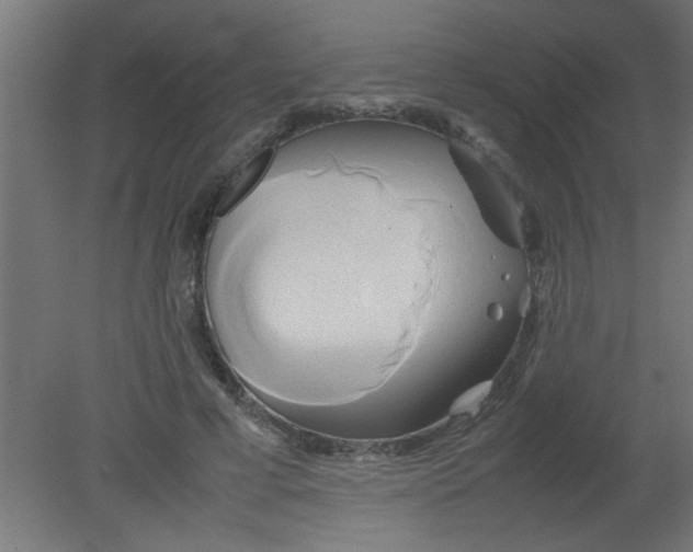 X0000080800593200701122217