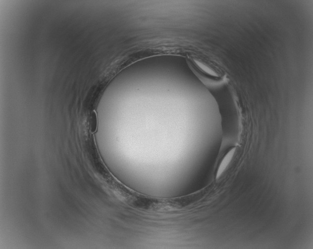 X0000080800597200701122216