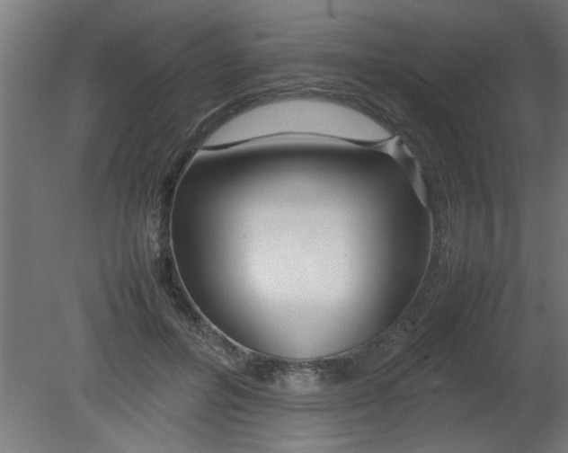 X0000080800600200701122216