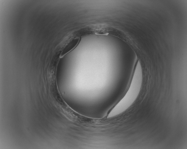 X0000080800601200701122216