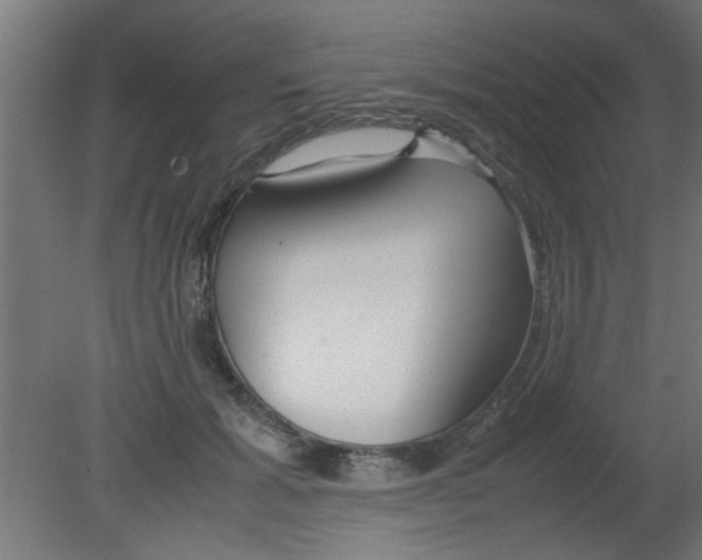 X0000080800605200701122216