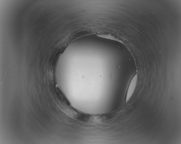 X0000080800613200701122216