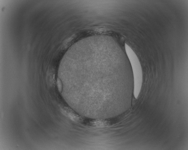 X0000080800615200701122216