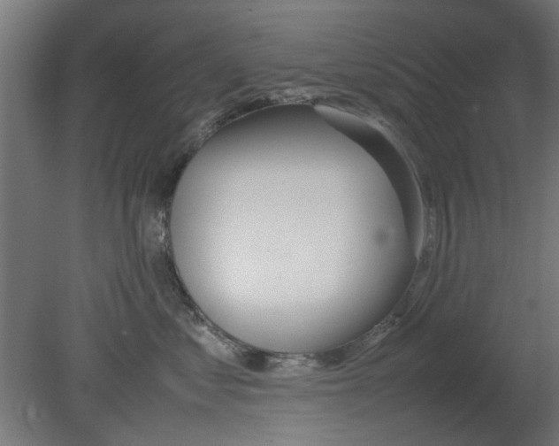 X0000080800621200701122216