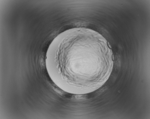 X0000080800622200701122216