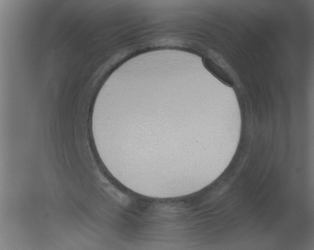 X0000080800625200701122215