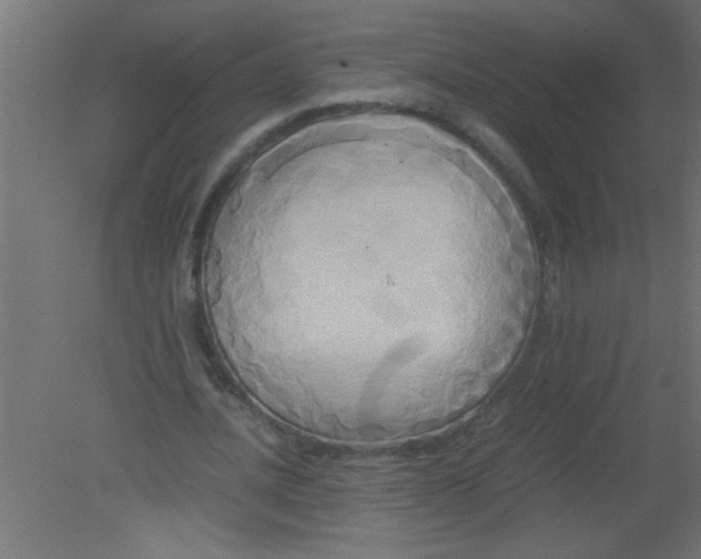 X0000080800628200701122215