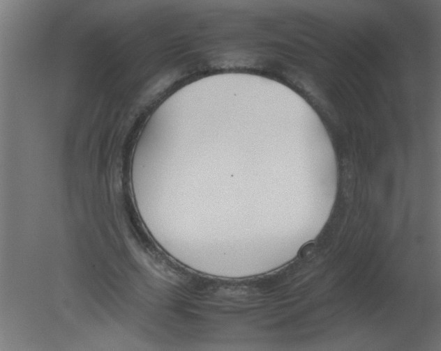 X0000080800631200701122215