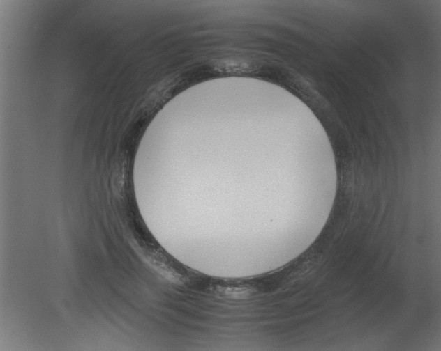 X0000080800645200701122216