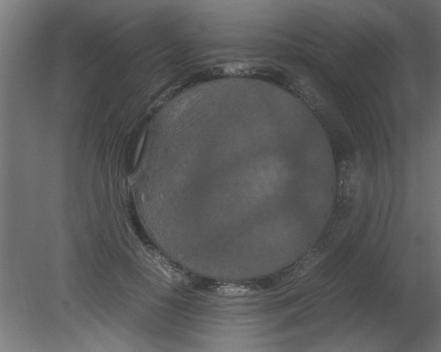 X0000080800650200701122216