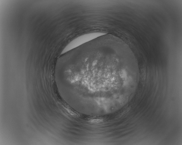 X0000080800653200701122216
