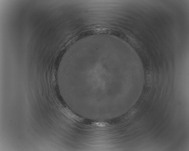 X0000080800654200701122216