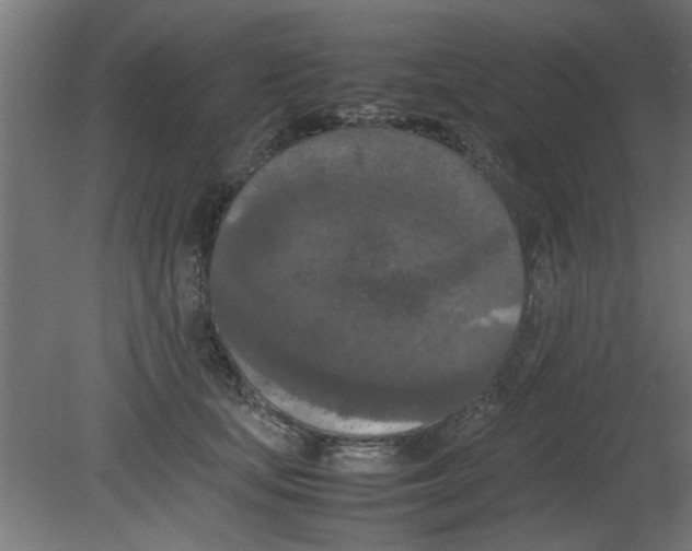 X0000080800659200701122216