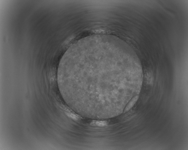 X0000080800665200701122216