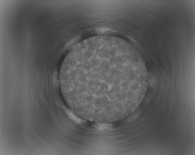 X0000080800670200701122216