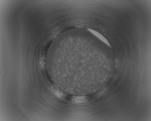 X0000080800671200701122216
