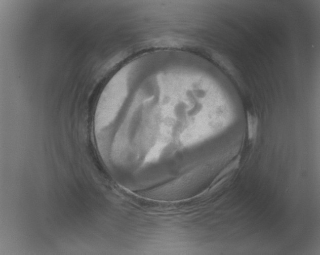 X0000080800675200701122215