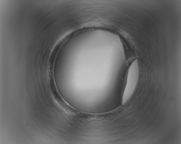 X0000080800680200701122215