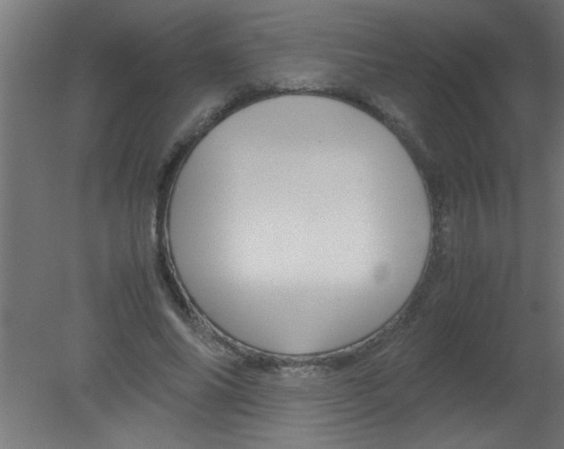 X0000080800686200701122215