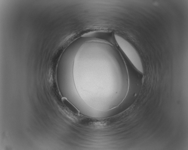 X0000080800692200701122215