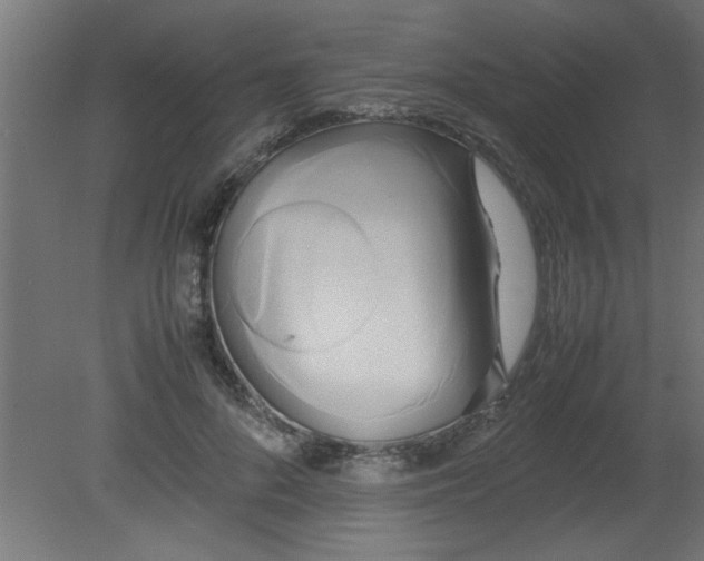 X0000080800696200701122215