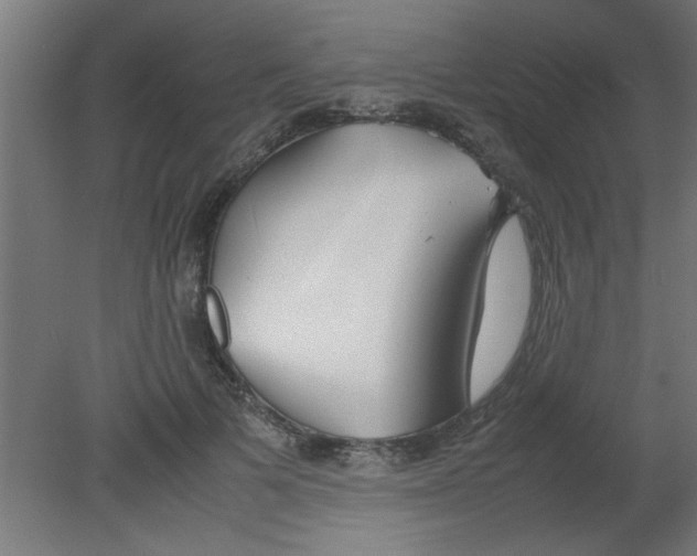 X0000080800697200701122215