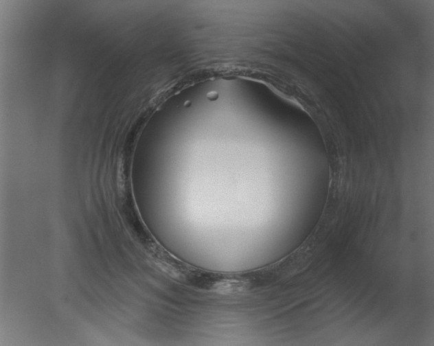 X0000080800700200701122215
