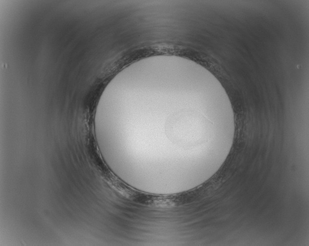 X0000080800702200701122215